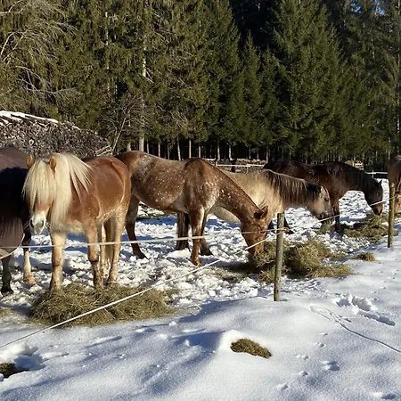 Appartement Isolde Bonndorf im Schwarzwald