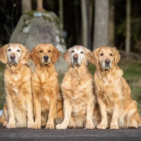 Isolde Bonndorf im Schwarzwald
