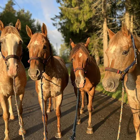 Isolde Appartement *