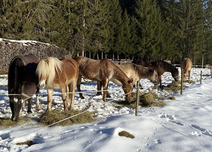 Apartament Isolde Bonndorf im Schwarzwald