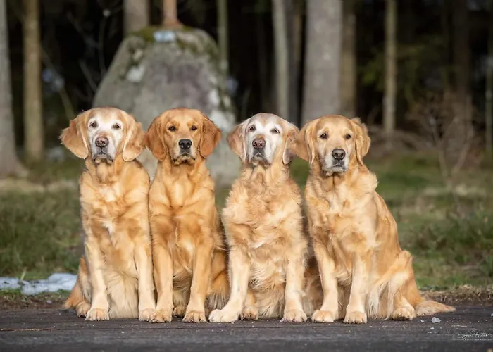 Isolde Bonndorf im Schwarzwald